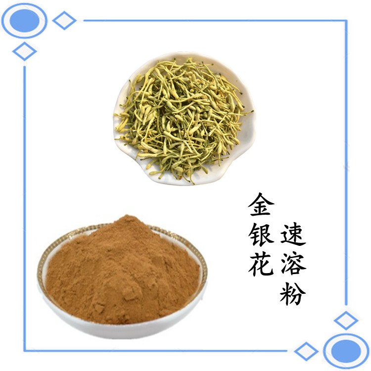 金银花提取物 绿原酸 速溶粉 萃取粉 质量稳定 大量库存