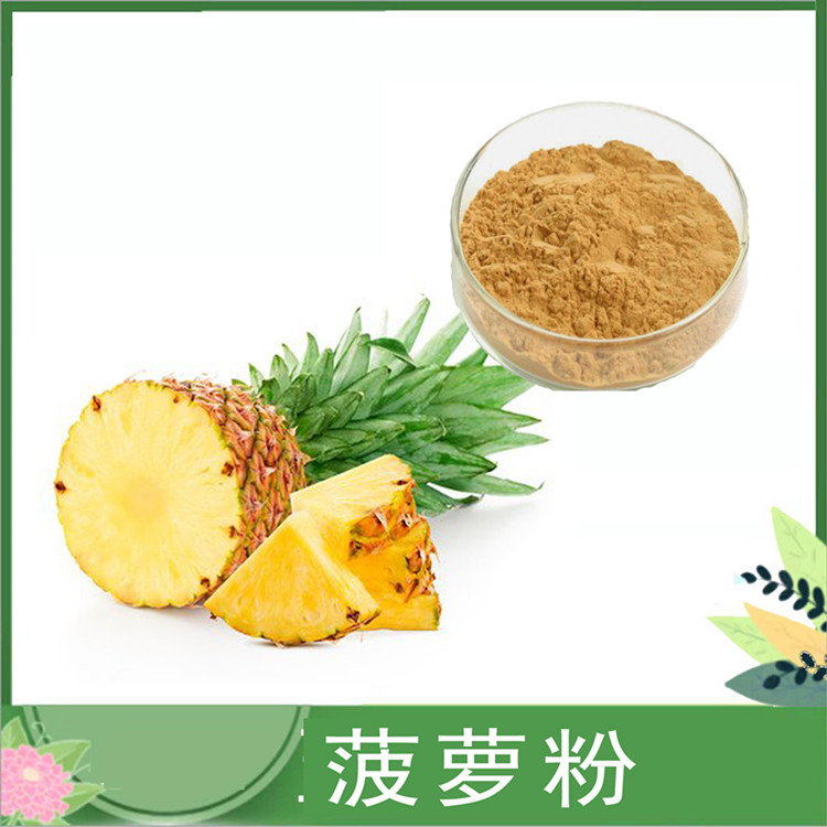 菠萝粉 代餐烘焙酵素原料 喷雾干燥凤梨粉 果蔬粉 菠萝汁粉水溶现货供应