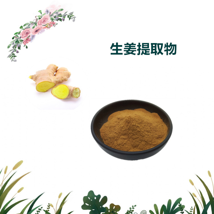 沃特莱斯生物 生姜提取物 干姜提取物 水溶性粉末 1公斤起订