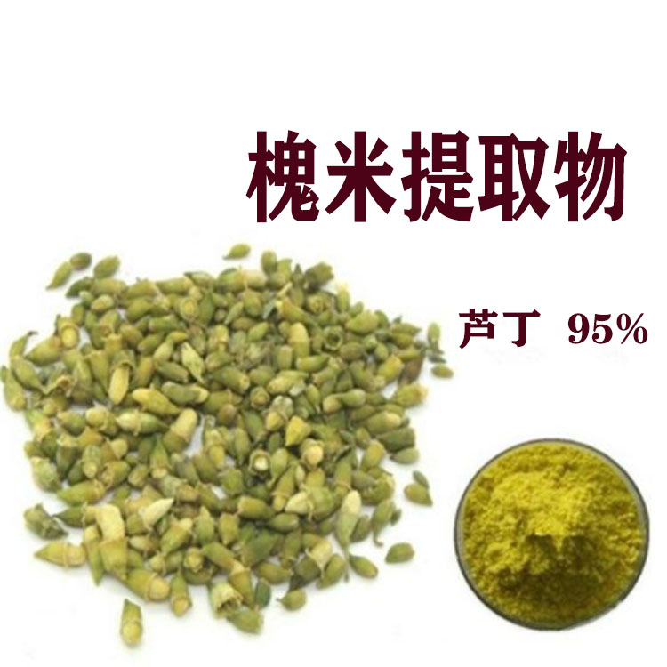 槐米提取物 芦丁95% 槐米速溶粉 喷雾干燥粉 全水溶