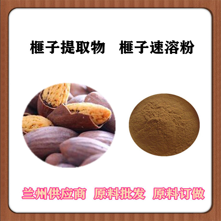 榧子浓缩粉 比例萃取榧子提取物10:1 20:1 浸膏粉 提取液多种规格供应