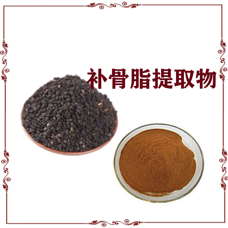 补骨脂提取物 速溶粉 浸膏粉 粉末细腻 质量稳定  可寄样