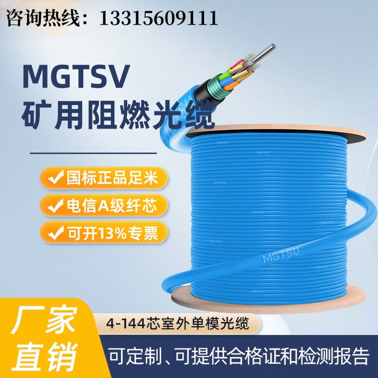 MGTSV-24B煤矿阻燃通信光缆 津东莱 厂家直供