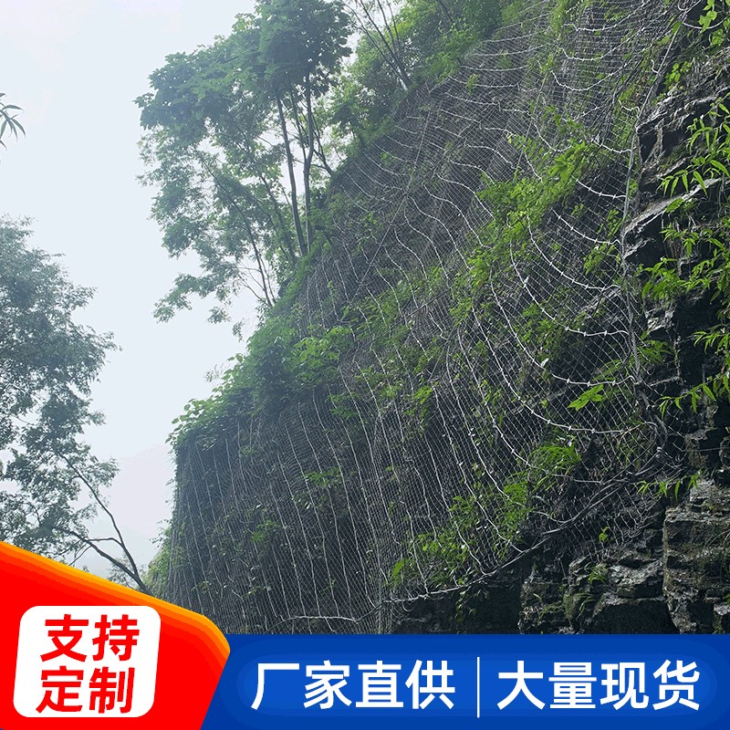 环形阻拦网 主动边坡防护网冷性能好专业供应 优质钢材材质