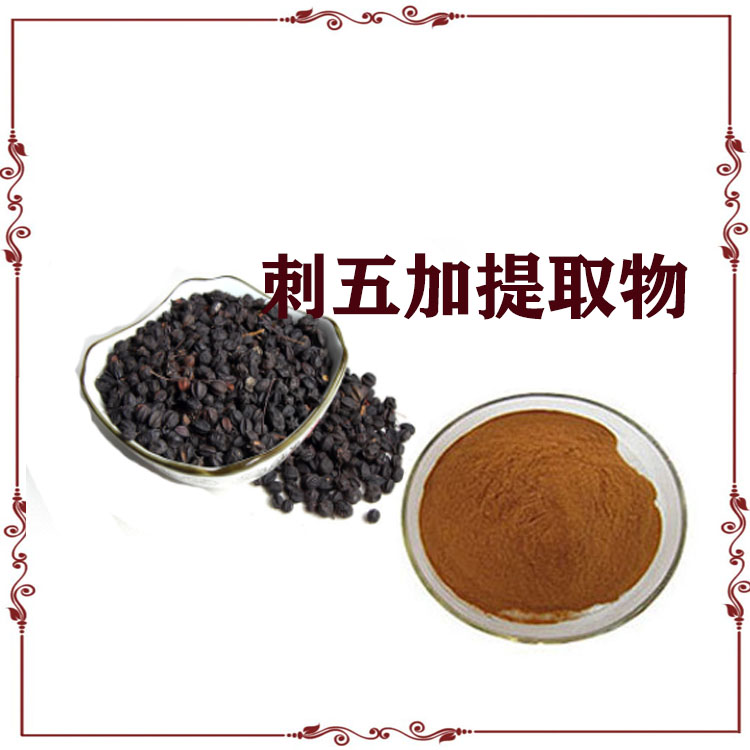 刺五加提取物 刺五加皂甙 速溶粉 浸膏 质量稳定 支持拿样
