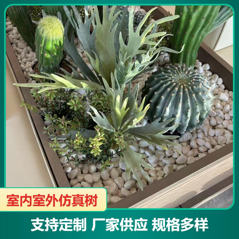 园林户外造景 室内景观 绿意盎然 按需加工定制 飞昂园林