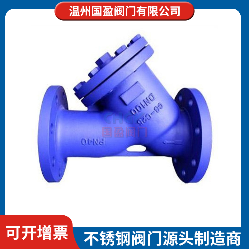 碳钢过滤器厂家 国盈