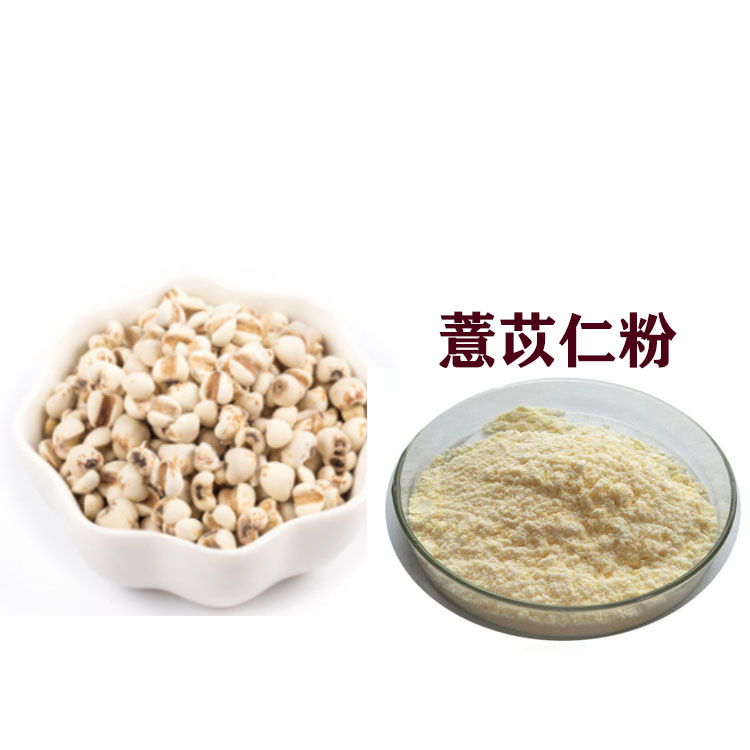 薏苡仁提取物 速溶粉 喷雾干燥粉 质量稳定 库存足
