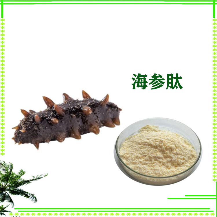 海参肽 海参提取物 小分子肽 速溶粉 多种规格 可定制