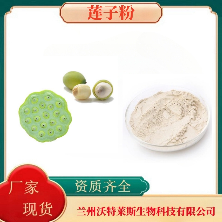 莲子粉  莲子提取物   莲子多糖50%  多种规格  食品级  沃特莱斯生物