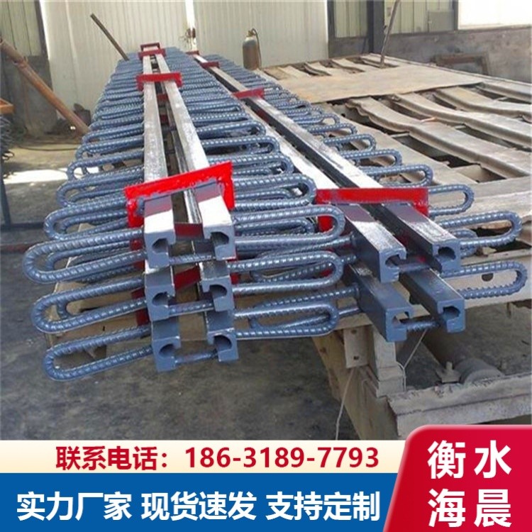 公路异型钢桥梁伸缩缝 钢箱梁桥面防水伸缩缝更换维修伸缩装置配件