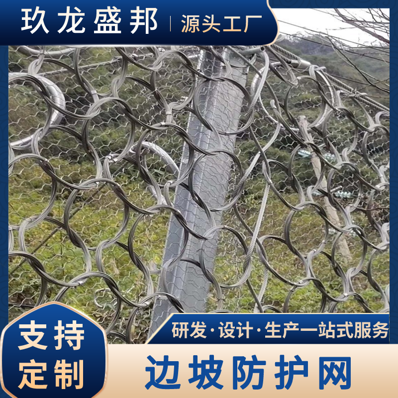 GPS2型边坡防护网 山坡加固防坠网高强度钢丝格栅 玖龙盛邦