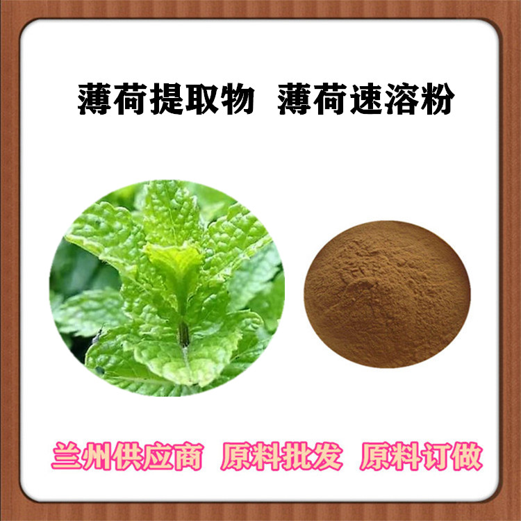 薄荷提取物20:1 薄荷速溶粉 薄荷醇 订做薄荷浓缩汁 浸膏粉 沃特莱斯供应