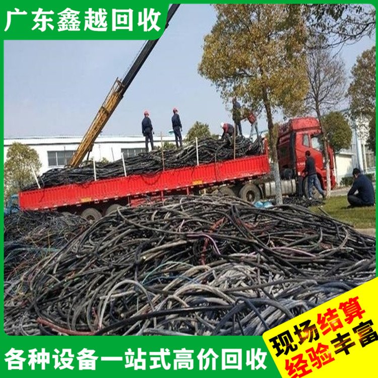 工程电缆回收 专业服务 制药厂设备回 收 高效快捷