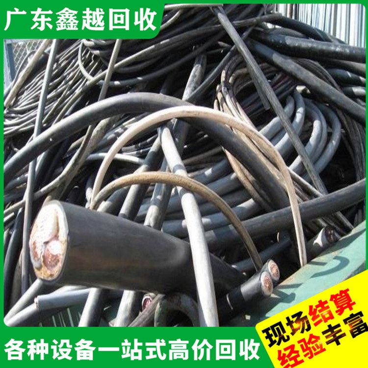 电力电缆回收 环保无害 现场结算 皮革厂设备回 收