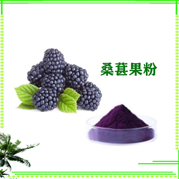 水溶性桑椹粉 桑椹提取物 花青素 喷雾干燥粉 质量稳定 大量库存