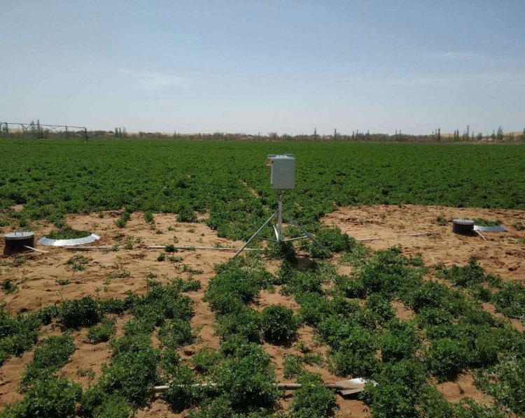 微型土壤蒸渗仪 DF-ZF20 东方鑫鸿 GPRS传输 太阳能供电 土壤蒸发渗漏