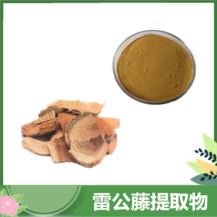 10:1比例雷公藤提取物 黄藤根/黄药比例萃取 雷公藤粉原料 含运 沃特莱斯批发