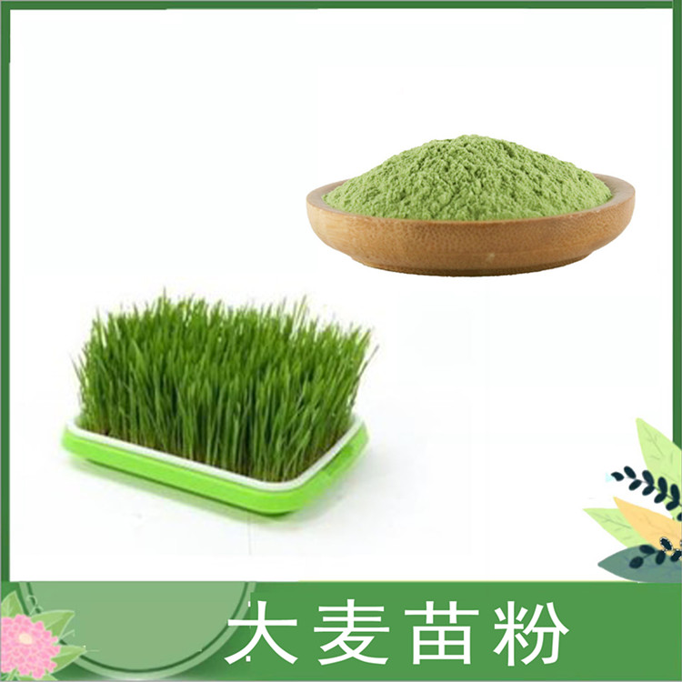 大麦苗粉 SC厂家 碱性大麦若叶青汁粉 禾麦代餐原料 现货含运