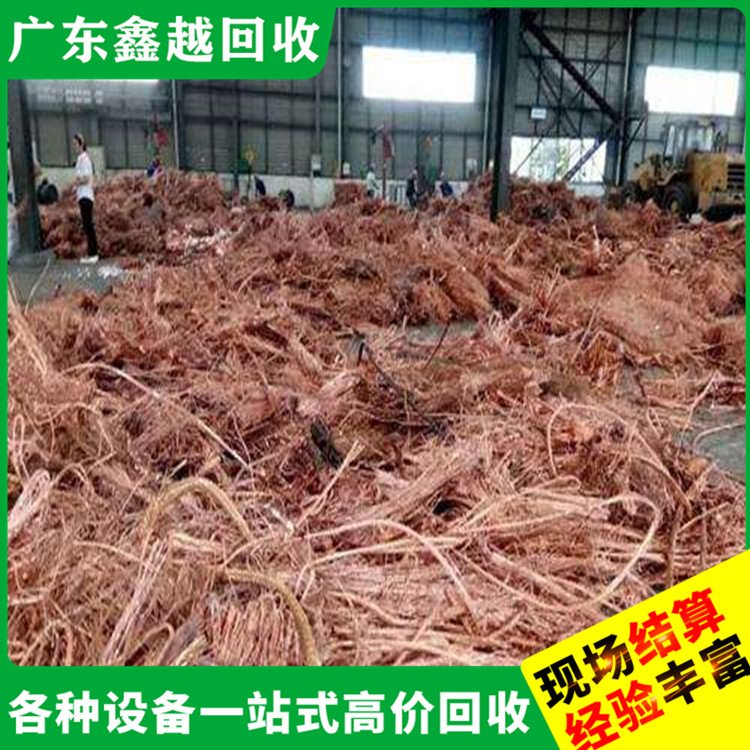 电缆废铜回收 现场勘查 高效快捷 电子厂设备回 收