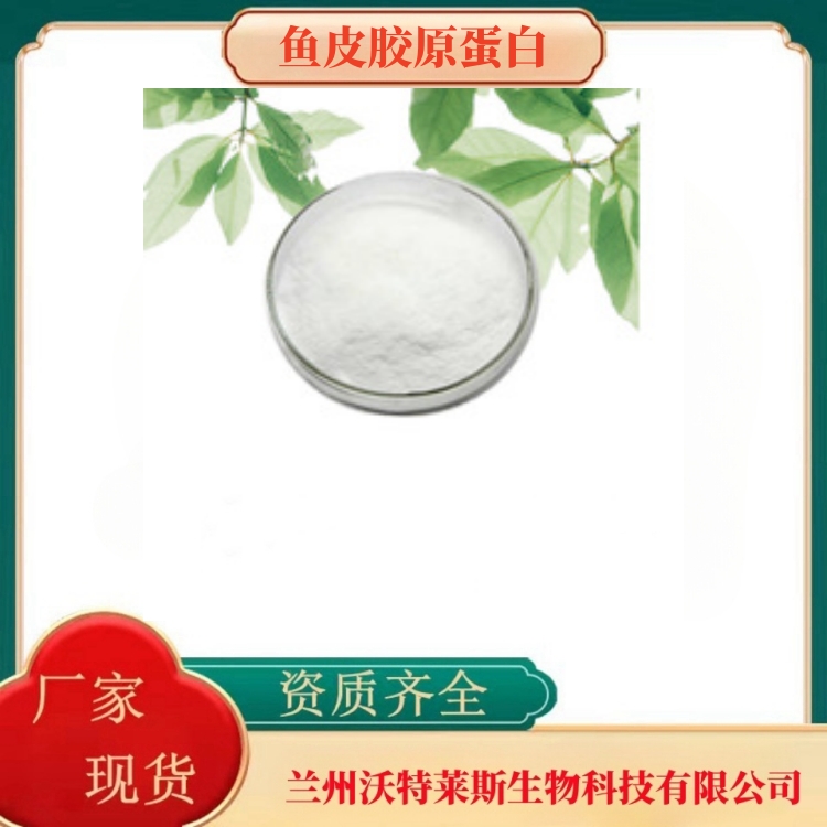 鱼皮胶原蛋白肽98%   全水溶   食品级原料   沃特莱斯生物