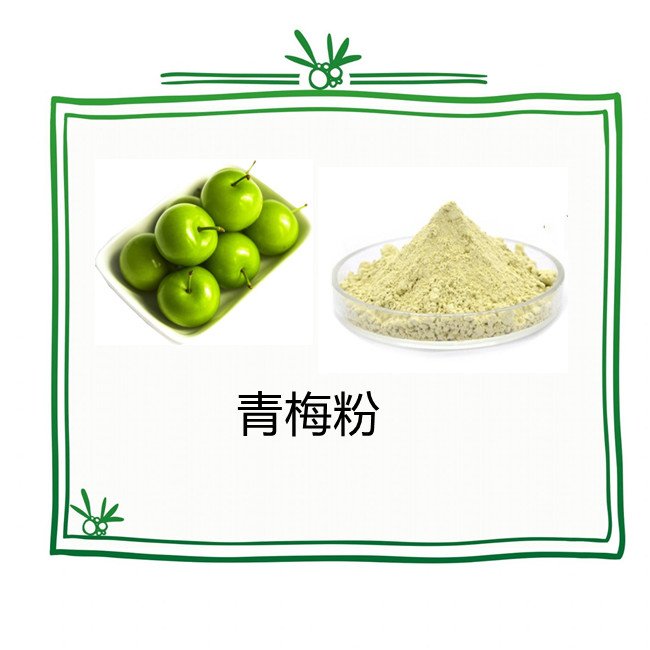 青梅粉 速溶粉 青梅果汁粉 青梅提取物 质量稳定 可寄样
