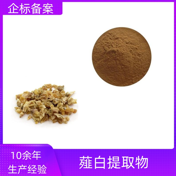 薤白提取物 10:1 全水溶 浓缩萃取 喷雾干燥 沃特莱斯生物
