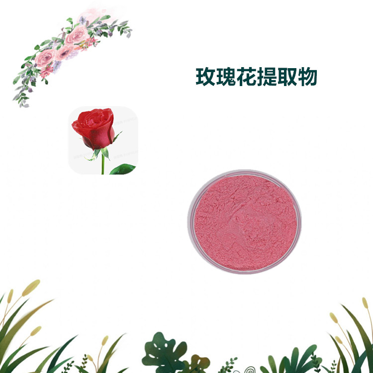 沃特莱斯生物 玫瑰花提取物 玫瑰花速溶粉 萃取粉 可定制可寄样