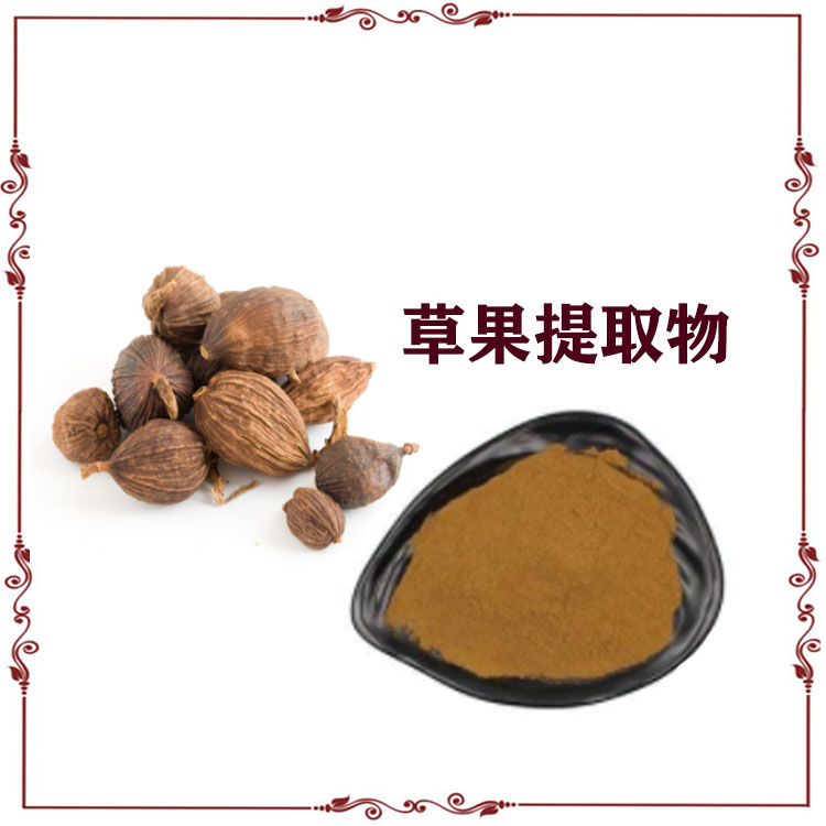 草果提取物10:1 速溶粉 萃取粉 浸膏粉 各种规格 可定制