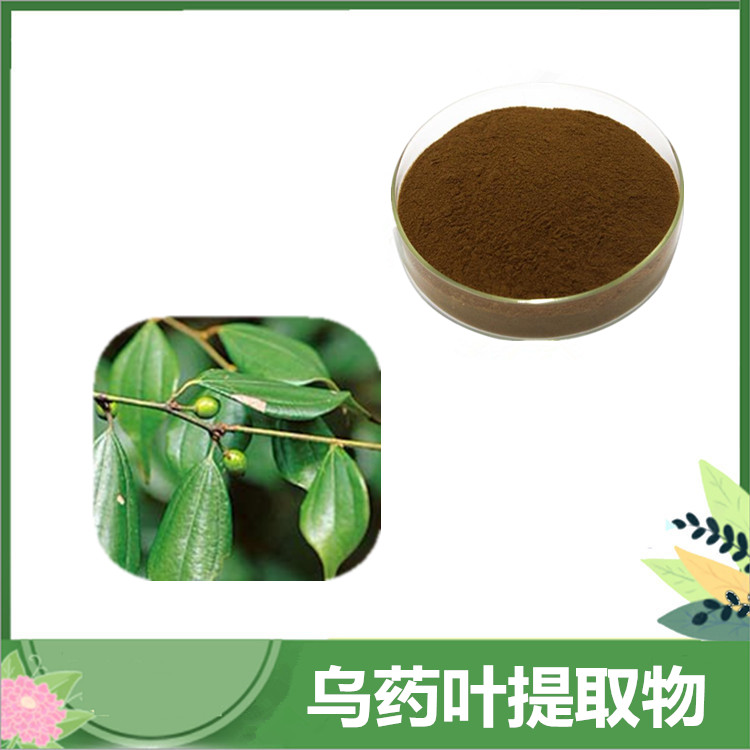 30:1/50:1乌药叶粉 乌药叶提取物 水溶性乌药浸膏粉 乌药浓缩原料 量大从优