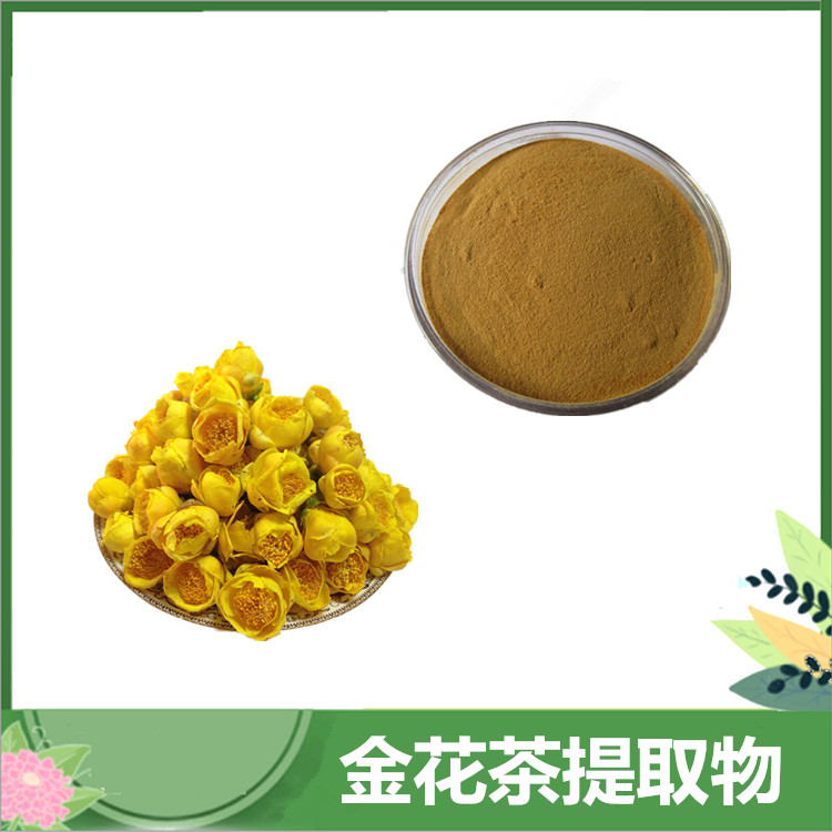 金花茶提取物 30:1/50:1规格 金花茶/金茶花粉 金花茶总黄酮 沃特莱斯现货