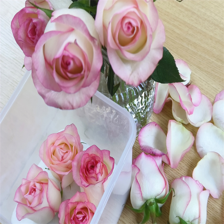 鲜花干燥剂厂家直销