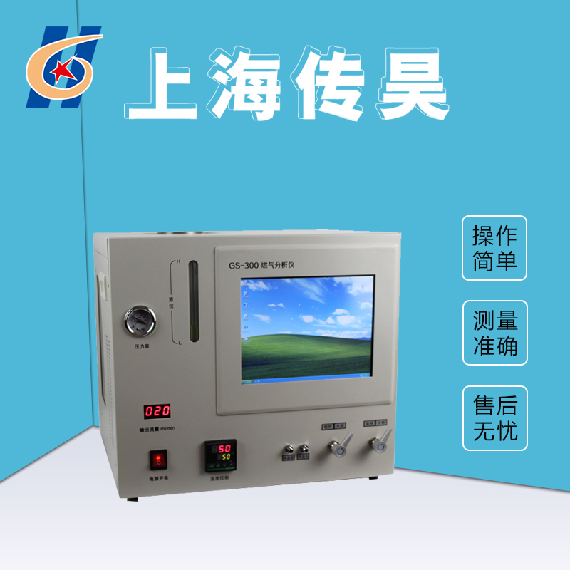 GS-300PNG LNG天然气分析仪