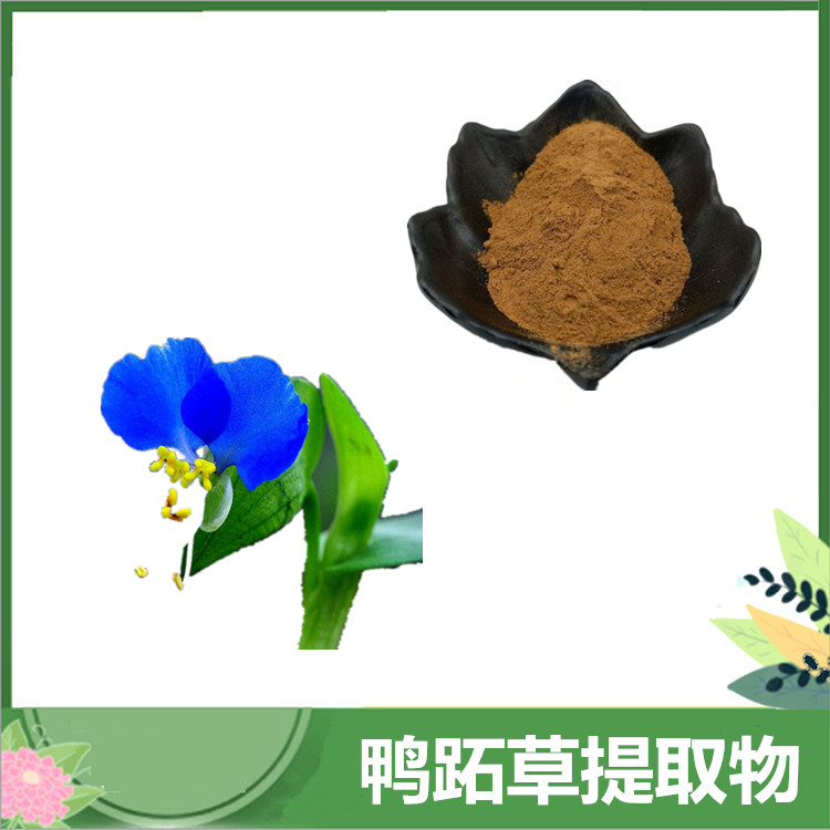 10:1/30:1/50:1比例鸭跖草粉 鸭跖草提取物 兰花草/竹叶草浓缩粉 SC厂家沃特莱斯