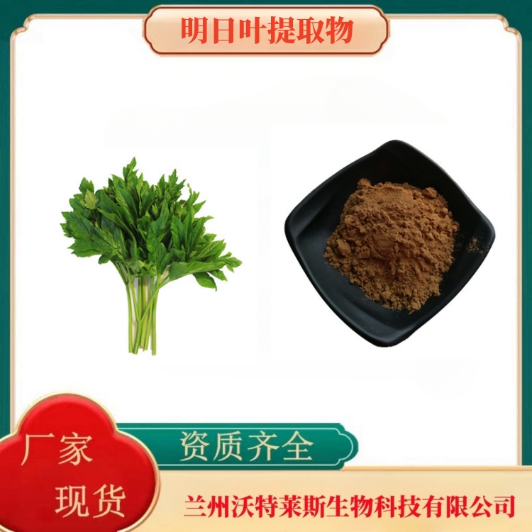 明日叶提取物10:1规格 明日叶/ 八丈草比例萃取  明日叶粉  含运