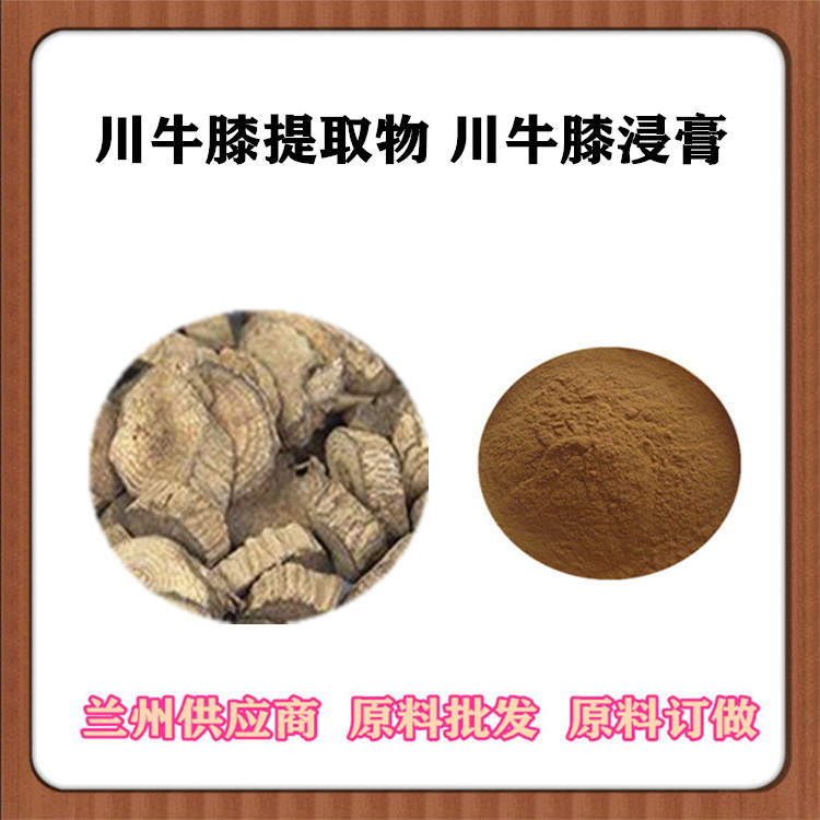 川牛膝提取物10:1 30:1 川牛膝粉 川牛膝多糖 浸膏粉 提取液 浓缩汁SC认证