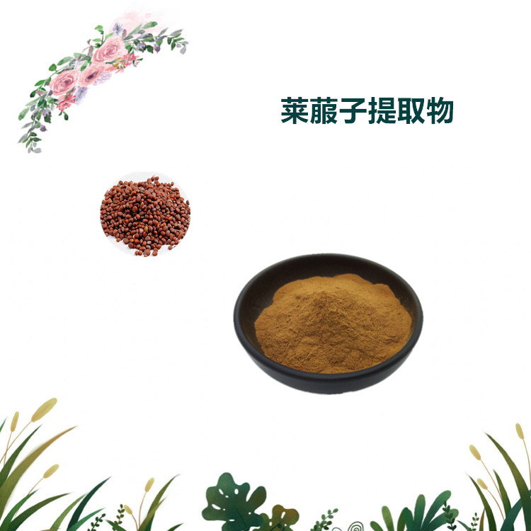 沃特莱斯生物 莱菔子提取物 萃取粉 喷雾干燥粉 多规格订制