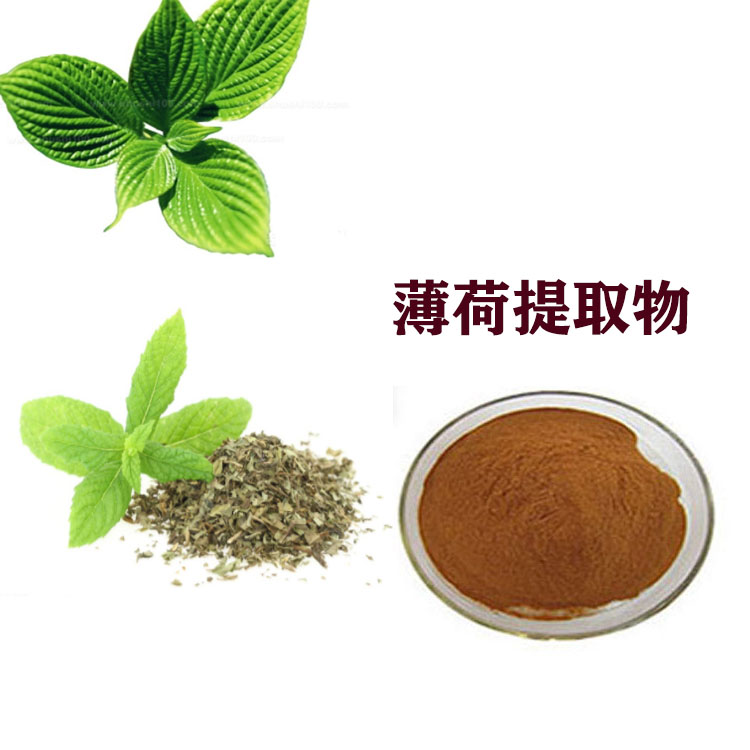 薄荷粉 薄荷提取物 薄荷脑 多种规格 大量库存