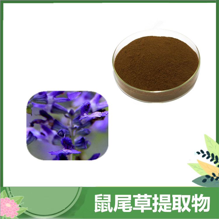 鼠尾草提取物 10:1 鼠尾草酸 植物坑苏/紫花丹比例提取 鼠尾草粉