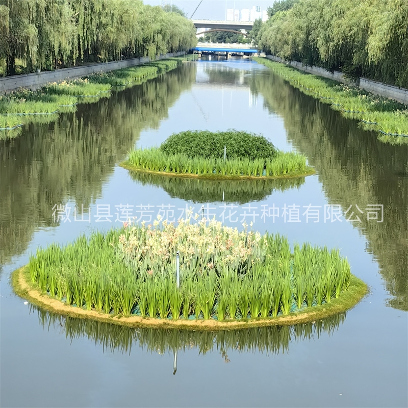 莲芳苑立体式浮动湿地实体厂家-无中间差价