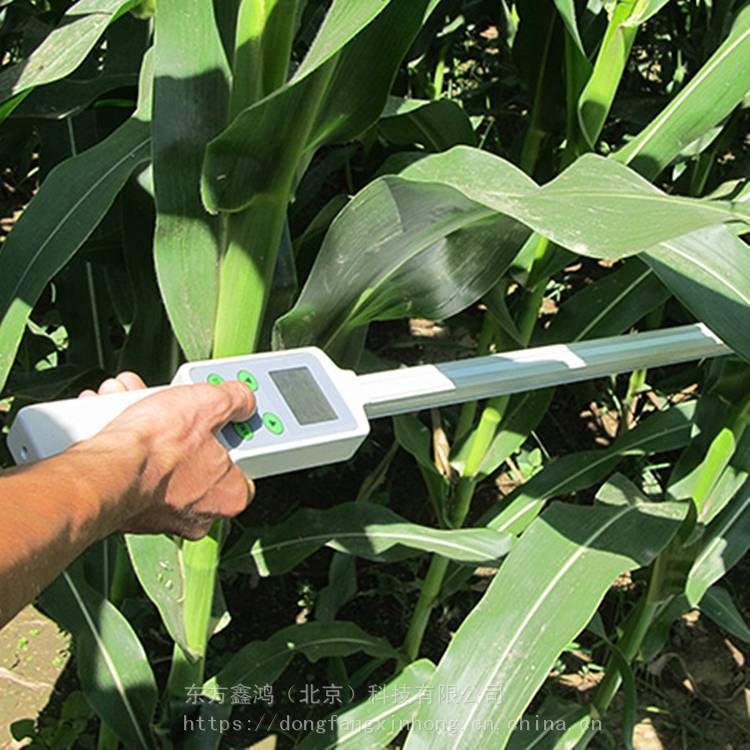 便携式植物冠层测量仪 0-2700μmol ㎡/秒 DF-S01