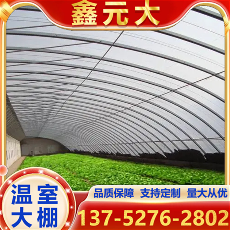 新型农业种植单体温室大棚 光照充足 安装方便简易