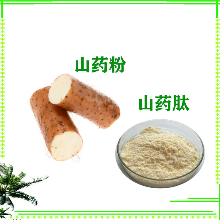 山药肽 山药速溶粉 小分子肽 500-1000道尔顿 沃特莱斯生物