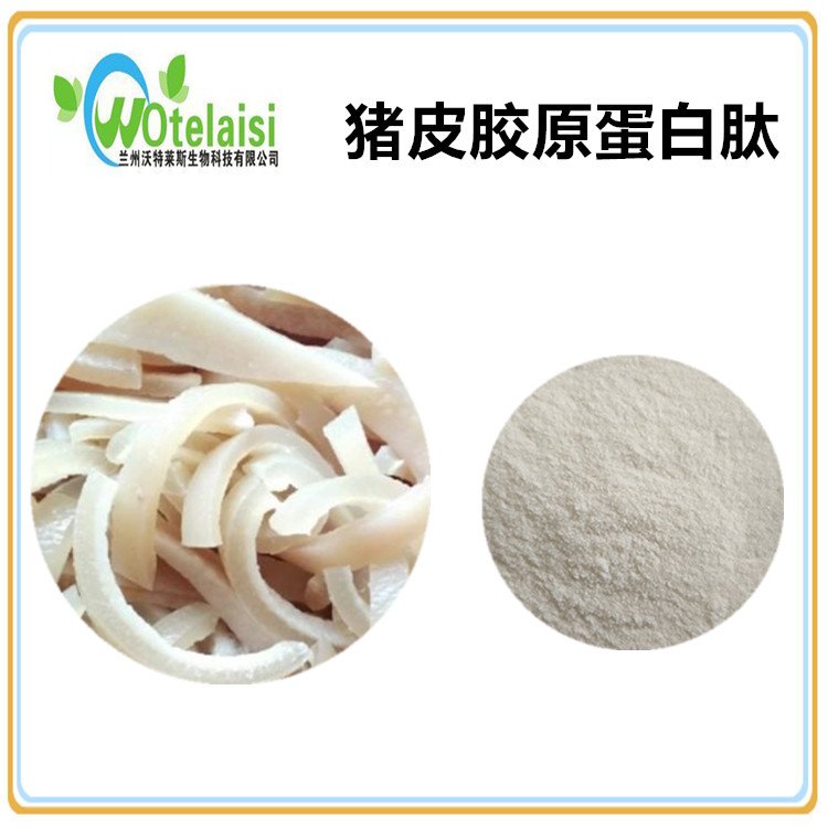 猪皮胶原蛋白肽 猪皮粉 小分子肽 白色粉末 质量稳定