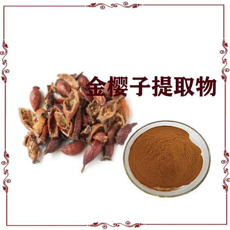 金樱子提取物 速溶粉 浸膏粉 质量稳定 支持拿样