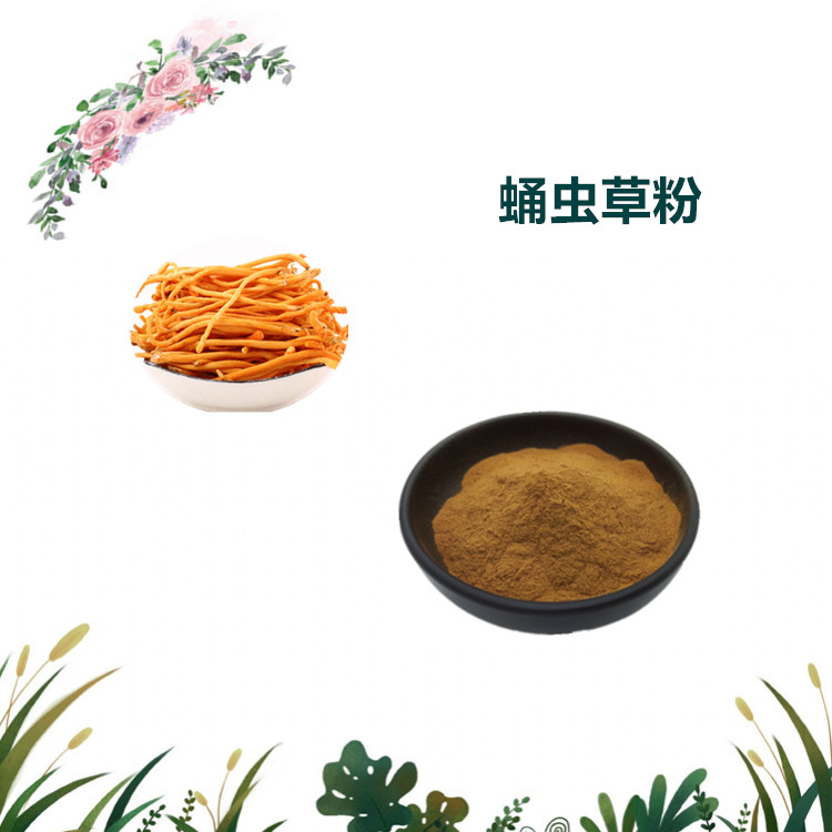 沃特莱斯生物 蛹虫草提取物 萃取粉 喷雾干燥粉 全水溶 可定制