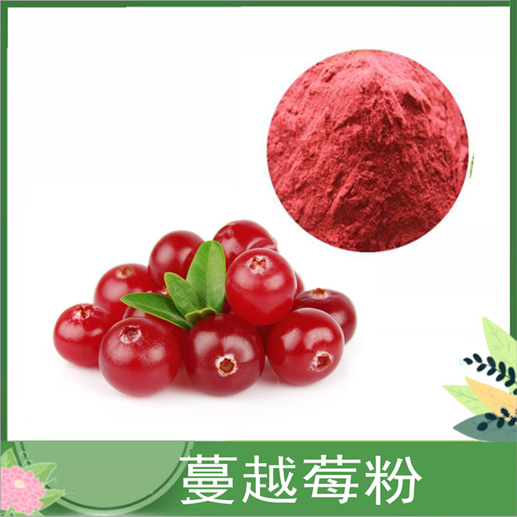 沃特莱斯供应 蔓越莓粉 蔓越莓速溶粉/果汁粉 代餐固体饮料原料 食品级
