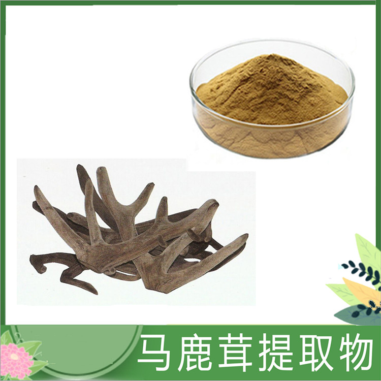 鹿茸提取物 30:1鹿茸粉 鹿茸萃取原料 鹿茸多肽 水溶性 沃特莱斯现货