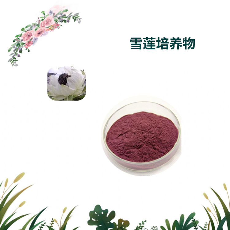 沃特莱斯生物 雪莲培养物 水溶性粉末 萃取粉 1公斤起订 可寄样