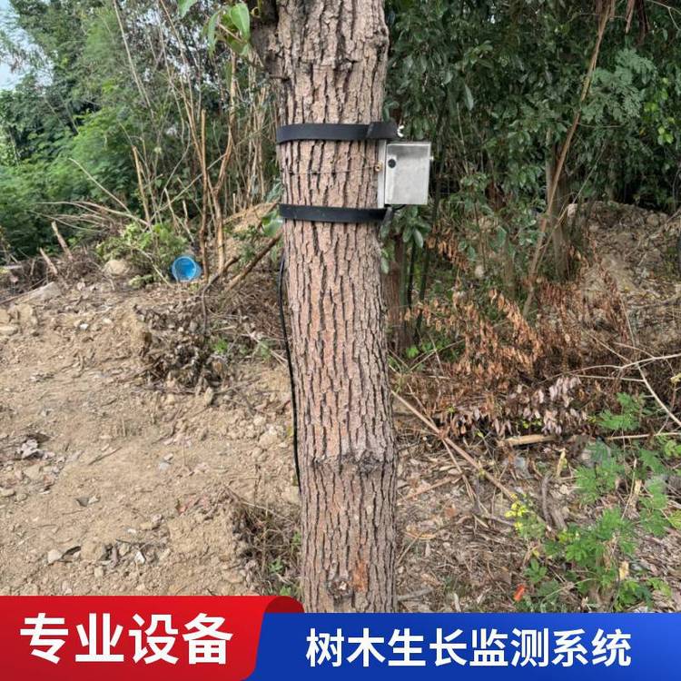 东方鑫鸿 植物生长监测系统 DF-SZ40 树木直径 冠层温度